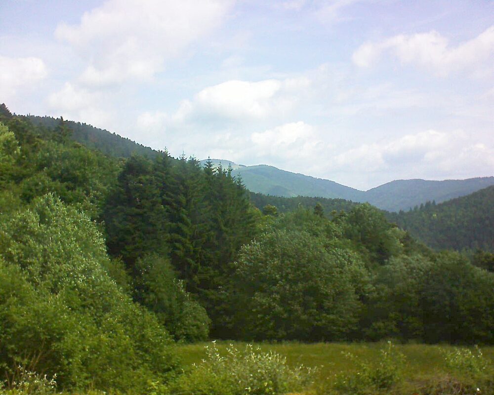 Le petit ballon (Alsace, Vosges) le 23.06.2025 à 11:15
