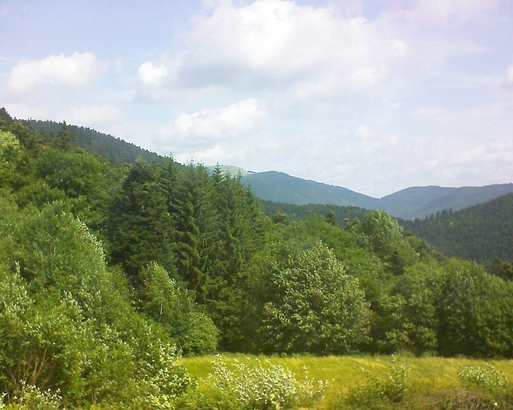 Le petit ballon (Alsace, Vosges) le 23.06.2025 à 11:30