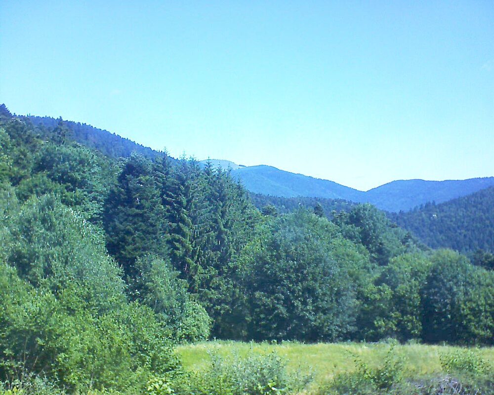 Le petit ballon (Alsace, Vosges) le 24.06.2025 à 11:15