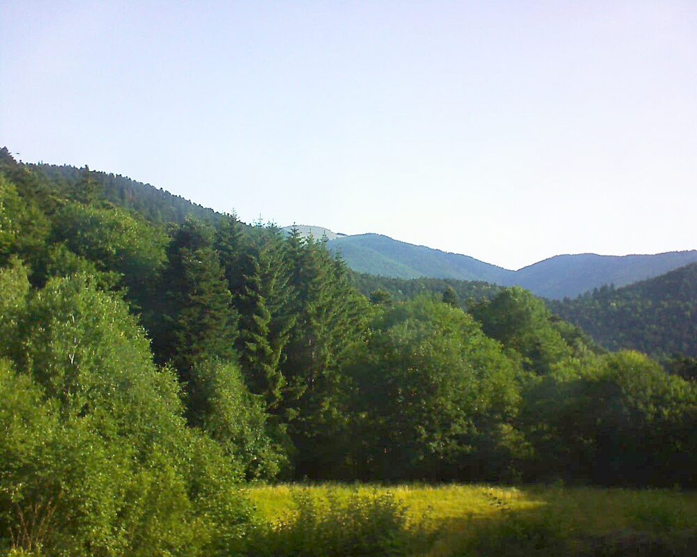 Le petit ballon (Alsace, Vosges) le 25.06.2025 à 08:15