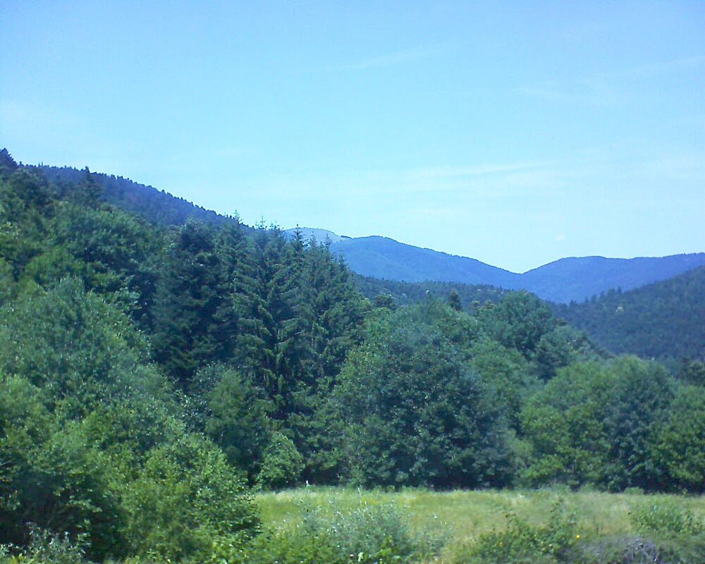 Le petit ballon (Alsace, Vosges) le 25.06.2025 à 14:15