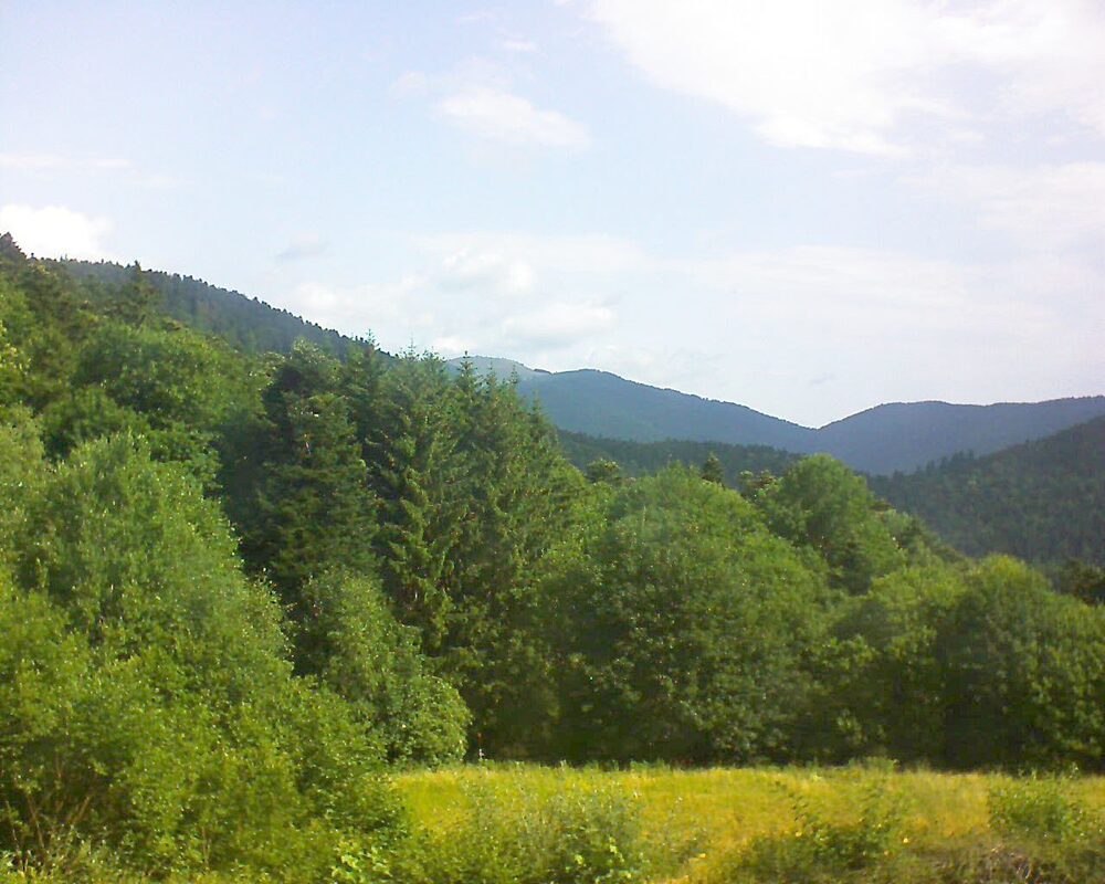 Le petit ballon vu depuis le Domaine Langmatt à Murbach le 26.06.2025 à 10:00 Le petit ballon (Alsace, Vosges) le 26.06.2025 à 10:00