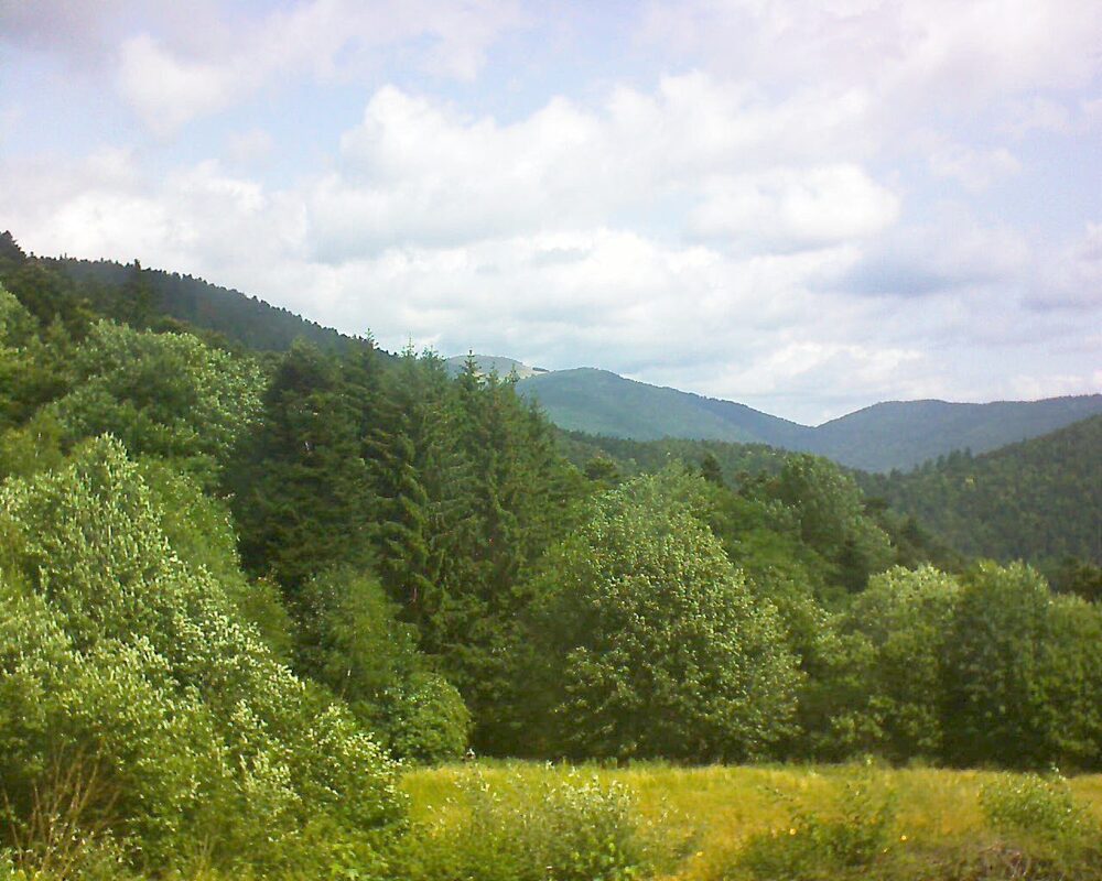Le petit ballon (Alsace, Vosges) le 26.06.2025 à 11:15