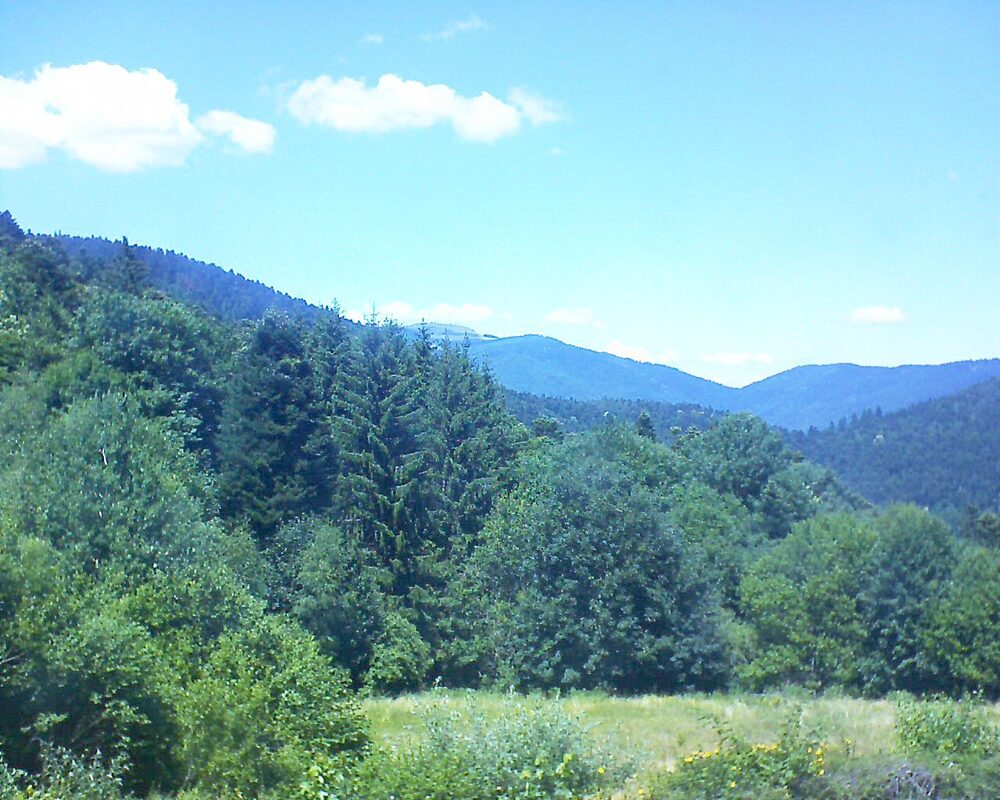 Le petit ballon (Alsace, Vosges) le 29.06.2025 à 14:15