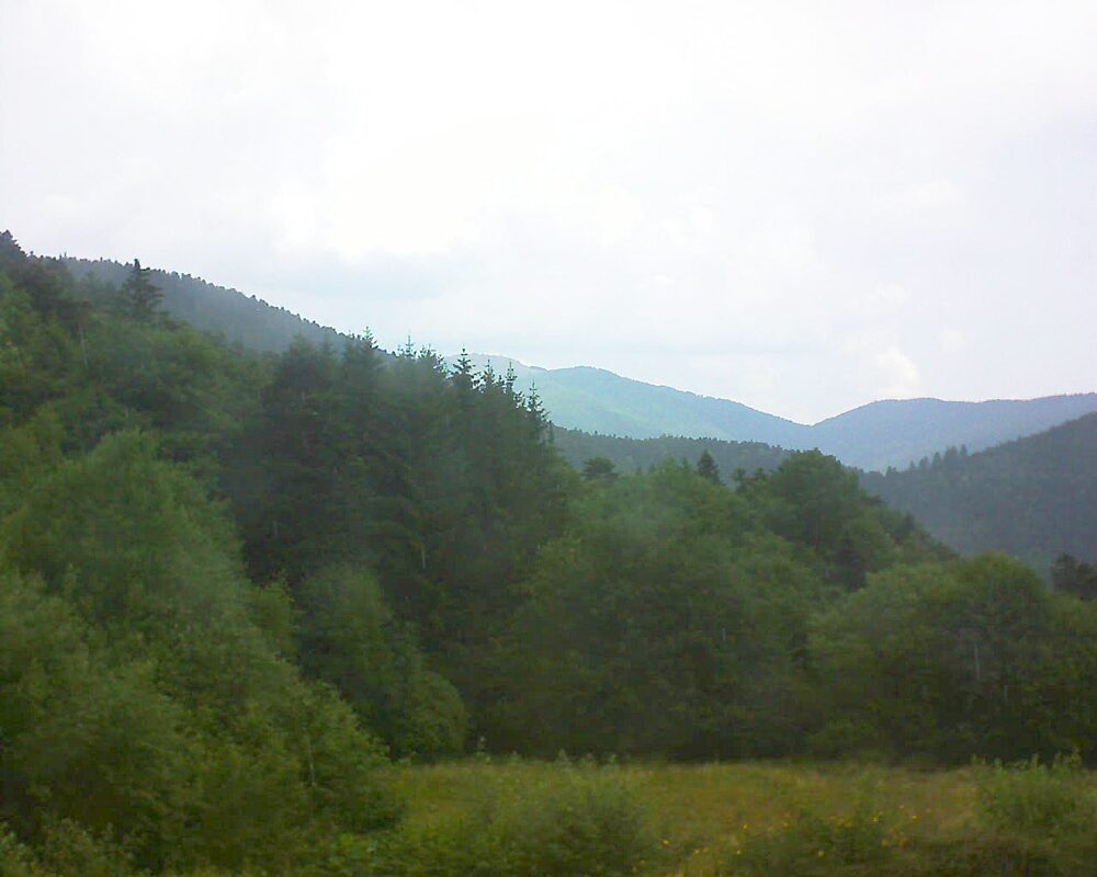 Le petit ballon (Alsace, Vosges) le 01.07.2025 à 12:00