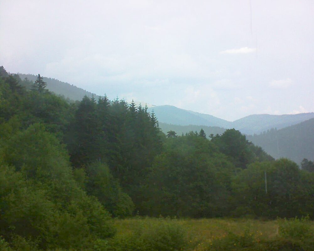 Le petit ballon (Alsace, Vosges) le 01.07.2025 à 12:15