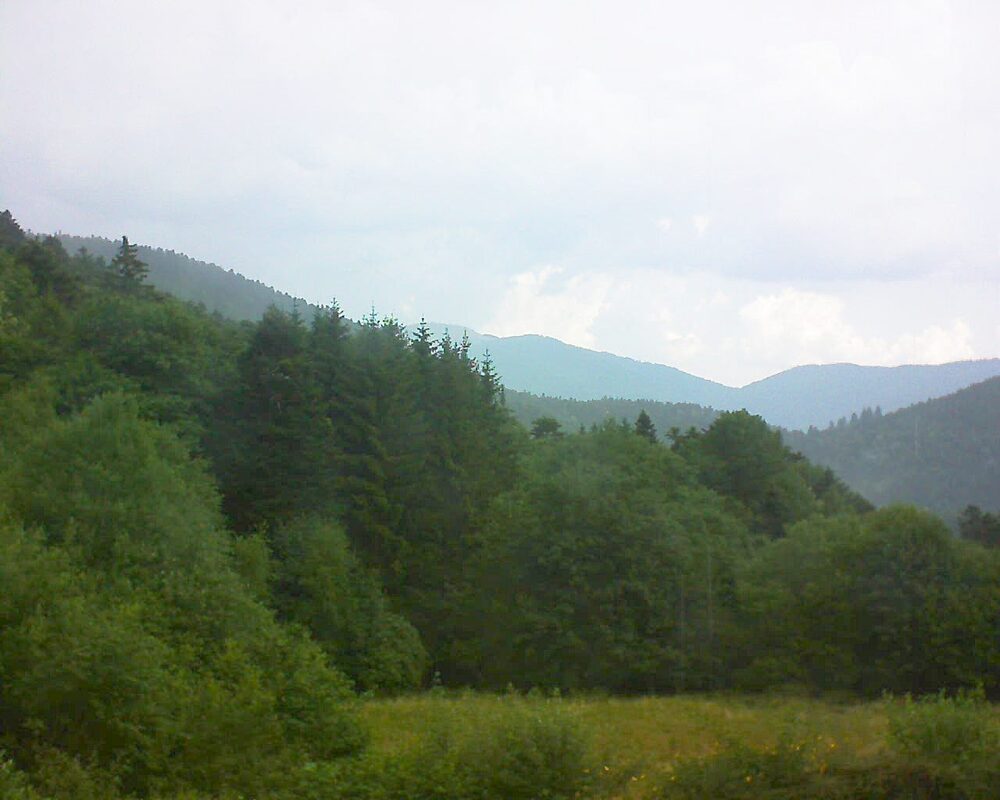 Le petit ballon (Alsace, Vosges) le 01.07.2025 à 12:30
