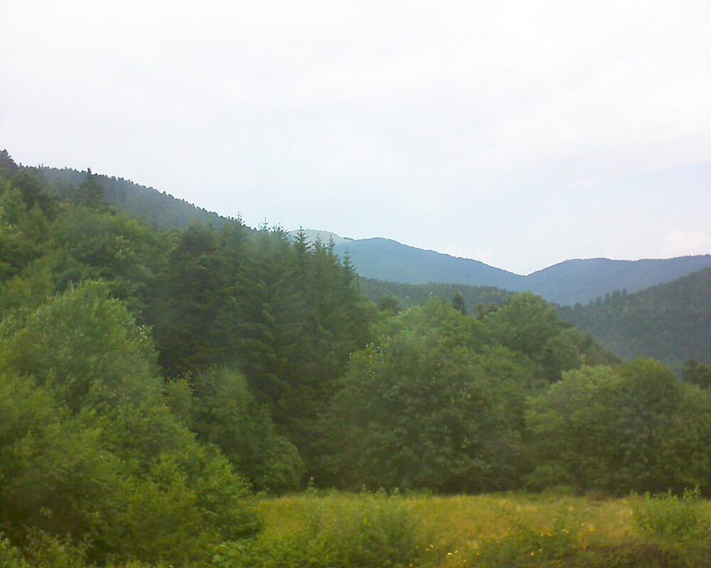 Le petit ballon (Alsace, Vosges) le 01.07.2025 à 15:15