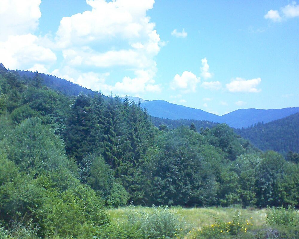 Le petit ballon (Alsace, Vosges) le 02.07.2025 à 12:15