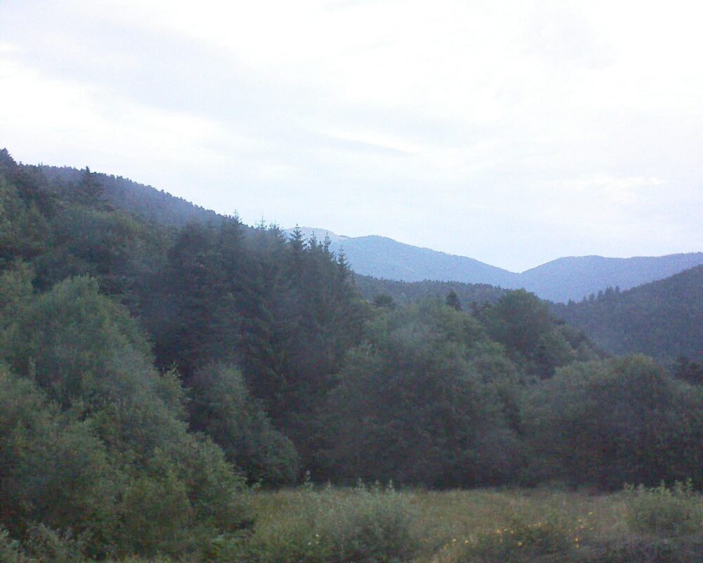 Le petit ballon (Alsace, Vosges) le 03.07.2025 à 05:30