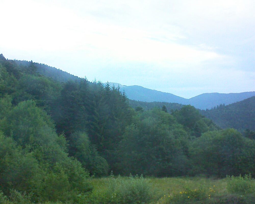 Le petit ballon vu depuis le Domaine Langmatt à Murbach le 03.07.2025 à 05:45 Le petit ballon (Alsace, Vosges) le 03.07.2025 à 05:45