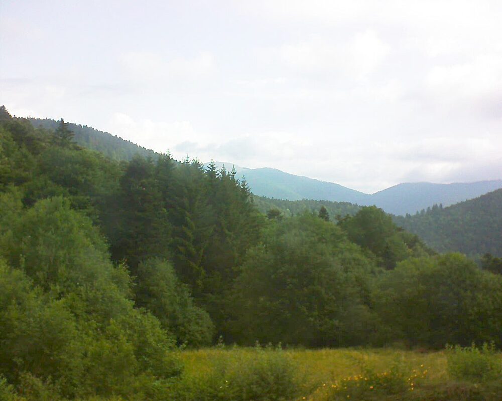 Le petit ballon vu depuis le Domaine Langmatt à Murbach le 03.07.2025 à 08:45 Le petit ballon (Alsace, Vosges) le 03.07.2025 à 08:45