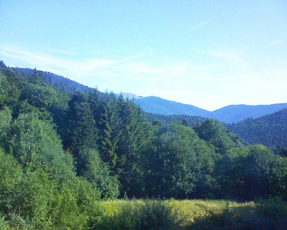 Le petit ballon (Alsace, Vosges) le 05.07.2025 à 08:45