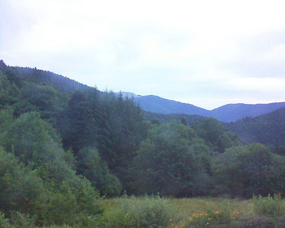Le petit ballon (Alsace, Vosges) le 06.07.2025 à 05:45