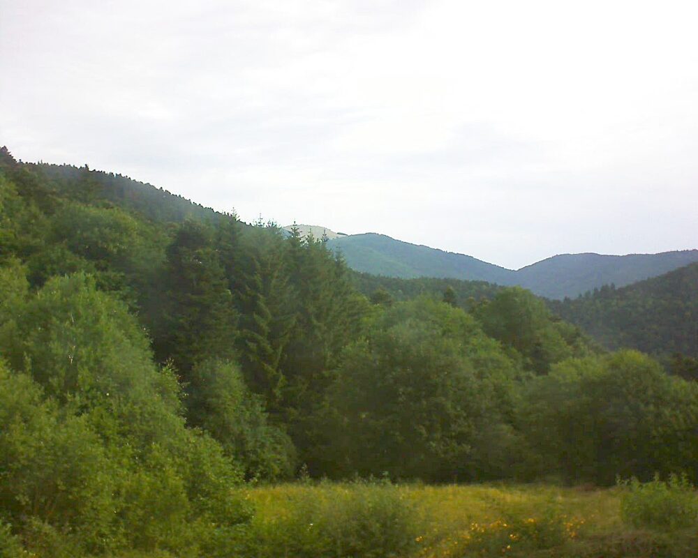 Le petit ballon (Alsace, Vosges) le 06.07.2025 à 08:30