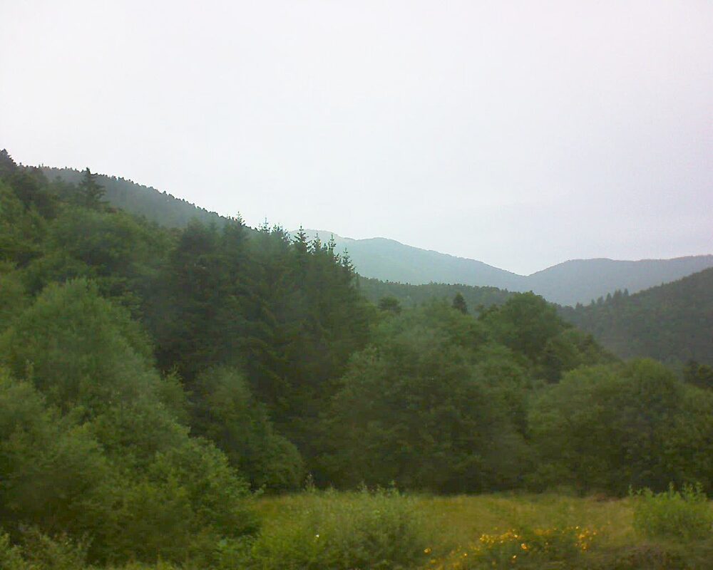 Le petit ballon (Alsace, Vosges) le 06.07.2025 à 11:15