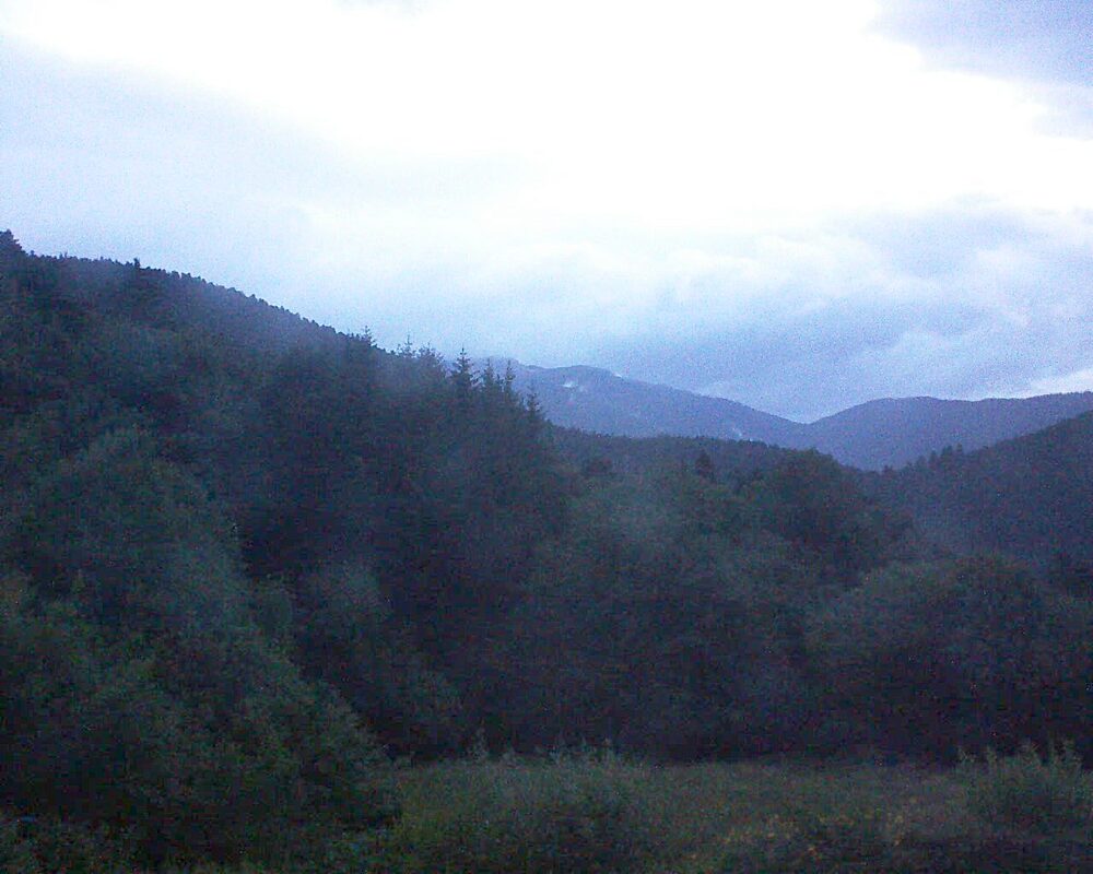 Le petit ballon (Alsace, Vosges) le 08.07.2025 à 05:30
