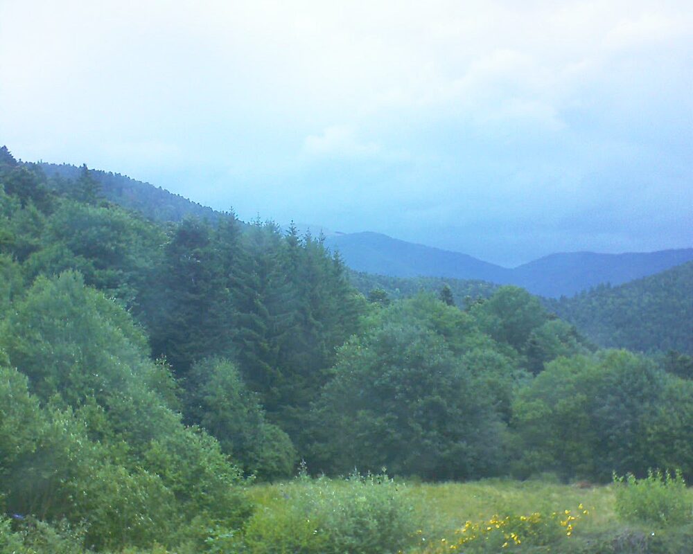 Le petit ballon (Alsace, Vosges) le 08.07.2025 à 12:15