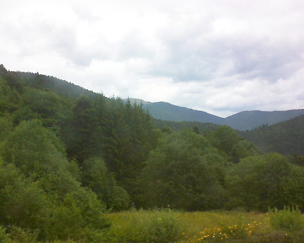 Le petit ballon (Alsace, Vosges) le 09.07.2025 à 11:15