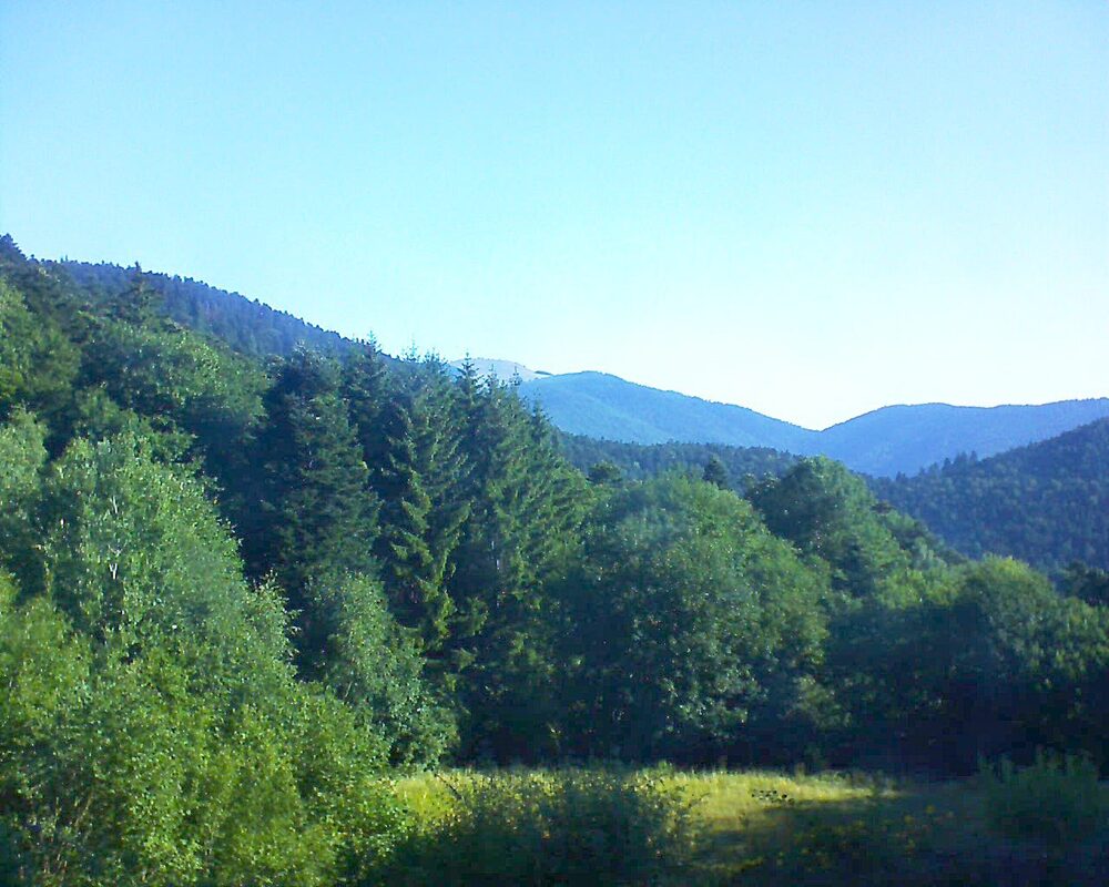Le petit ballon (Alsace, Vosges) le 10.07.2025 à 08:30