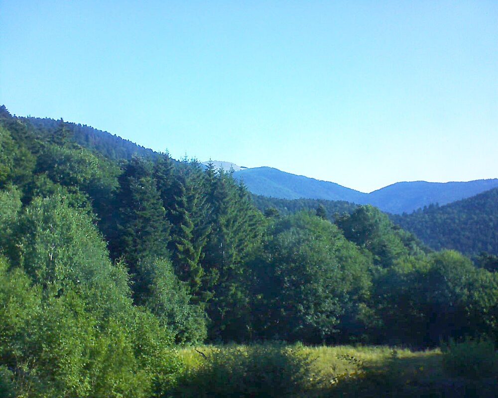 Le petit ballon vu depuis le Domaine Langmatt à Murbach le 13.07.2025 à 08:45 Le petit ballon (Alsace, Vosges) le 13.07.2025 à 08:45