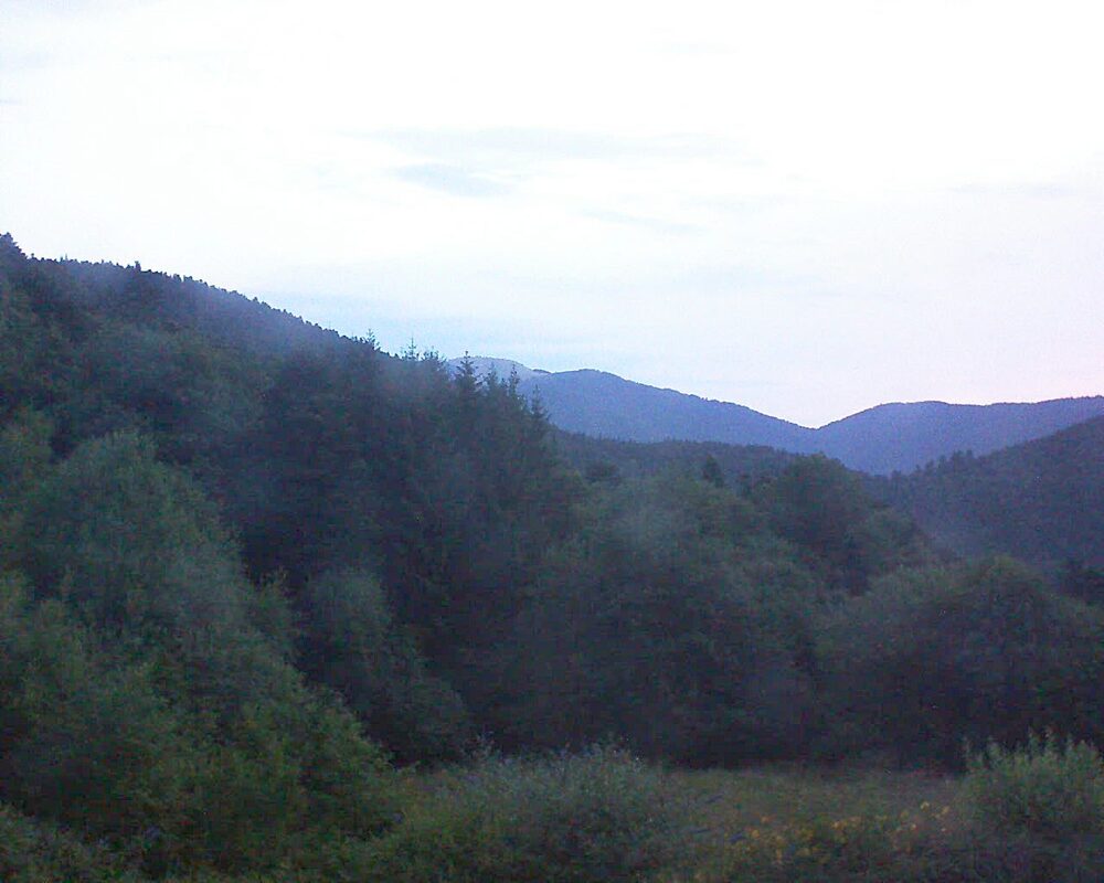 Le petit ballon (Alsace, Vosges) le 20.07.2025 à 05:45