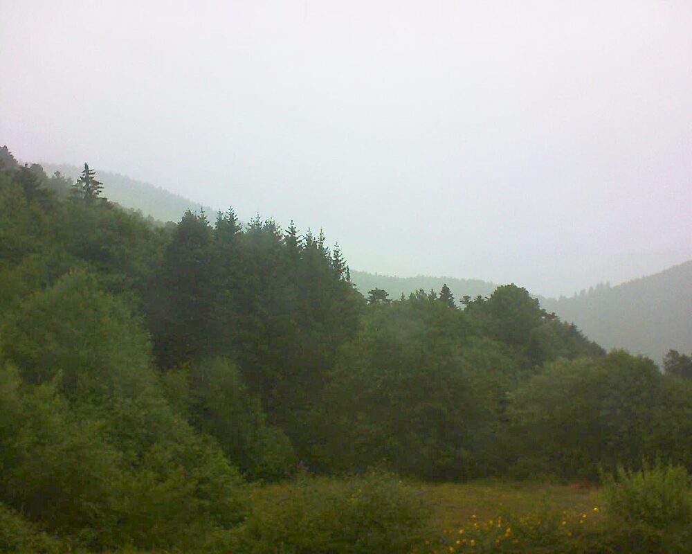 Le petit ballon vu depuis le Domaine Langmatt à Murbach le 22.07.2025 à 11:15 Le petit ballon (Alsace, Vosges) le 22.07.2025 à 11:15
