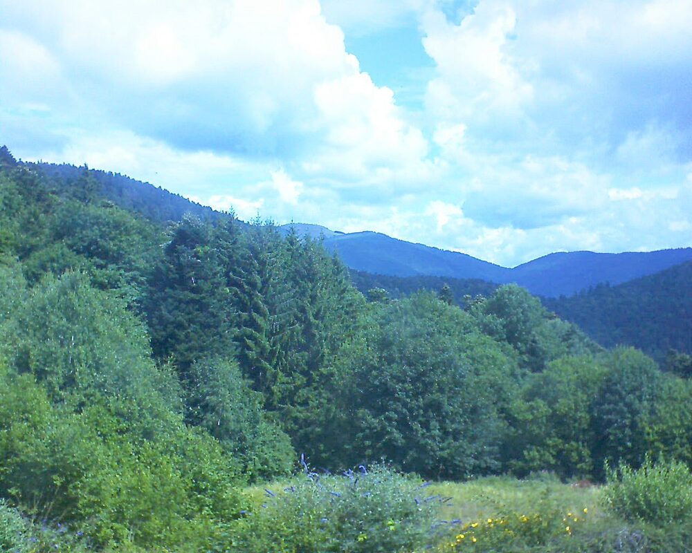 Le petit ballon (Alsace, Vosges) le 25.07.2025 à 11:30
