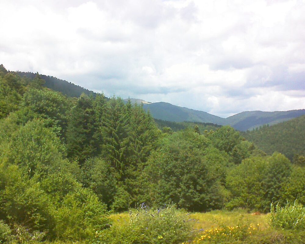 Le petit ballon (Alsace, Vosges) le 25.07.2025 à 14:15
