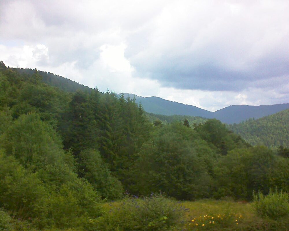 Le petit ballon vu depuis le Domaine Langmatt à Murbach le 29.07.2025 à 11:15 Le petit ballon (Alsace, Vosges) le 29.07.2025 à 11:15