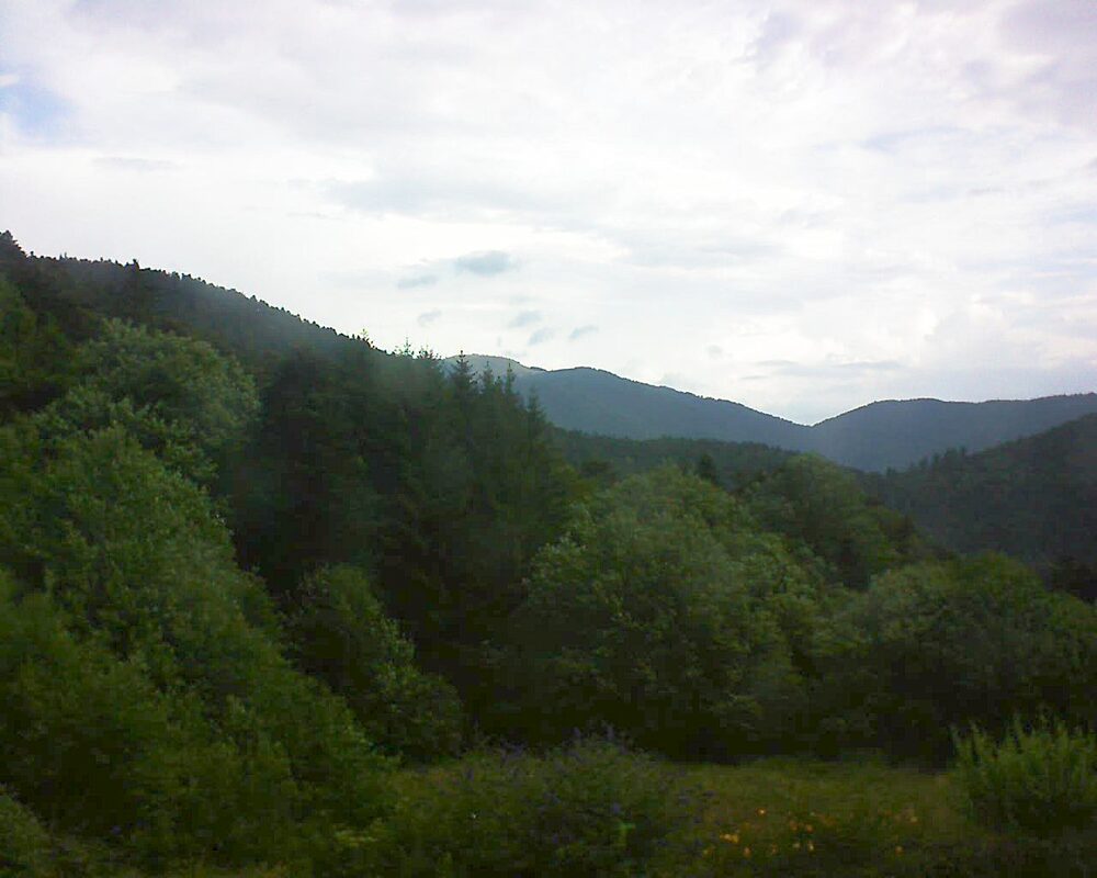 Le petit ballon (Alsace, Vosges) le 01.08.2025 à 08:15
