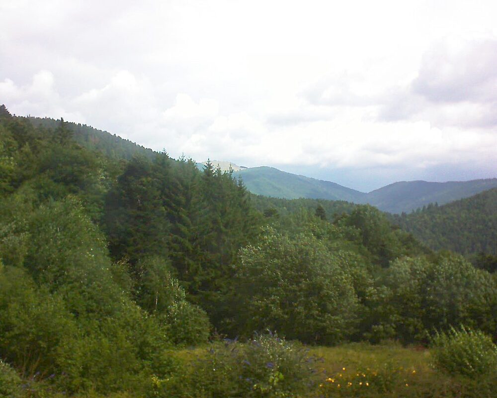 Le petit ballon vu depuis le Domaine Langmatt à Murbach le 01.08.2025 à 11:00 Le petit ballon (Alsace, Vosges) le 01.08.2025 à 11:00