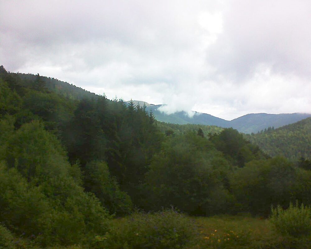 Le petit ballon (Alsace, Vosges) le 02.08.2025 à 11:15
