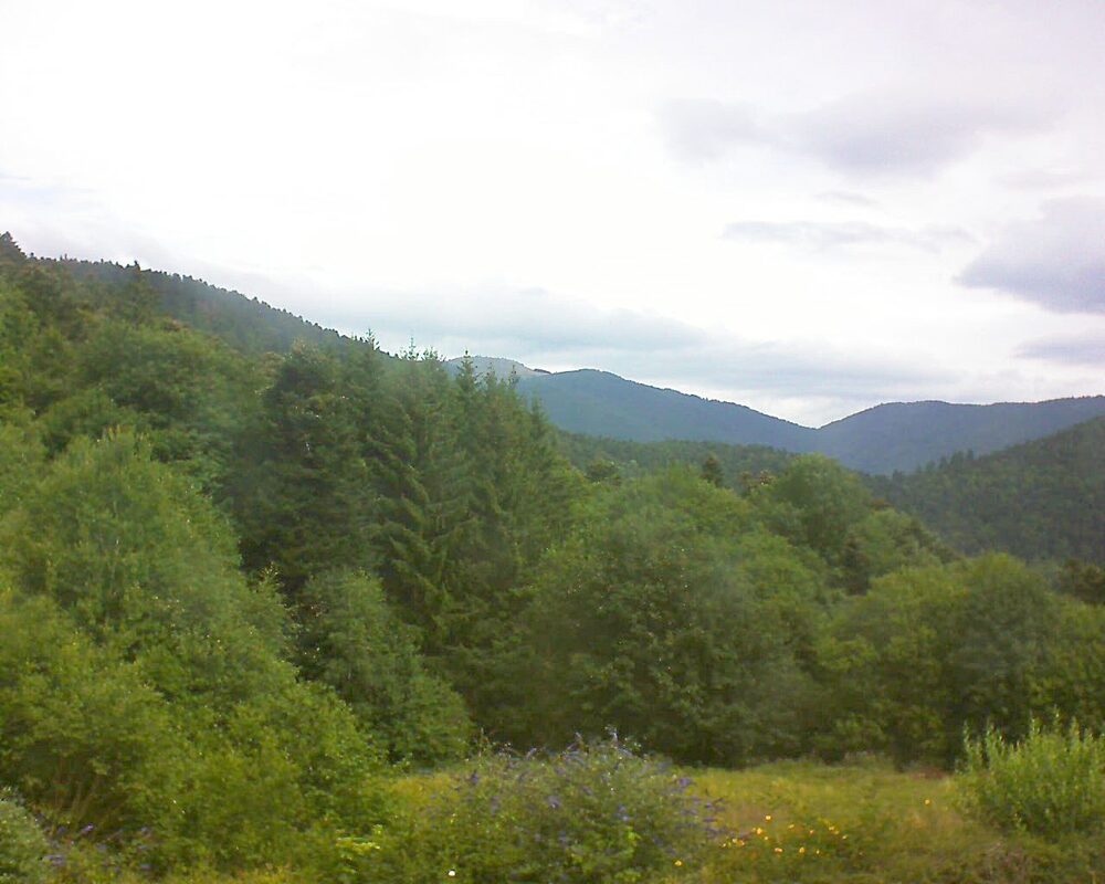 Le petit ballon (Alsace, Vosges) le 04.08.2025 à 11:15