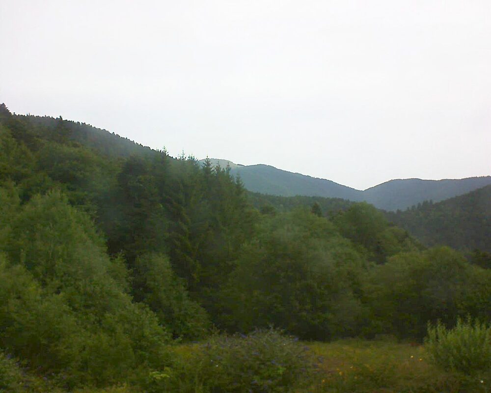 Le petit ballon (Alsace, Vosges) le 06.08.2025 à 08:45