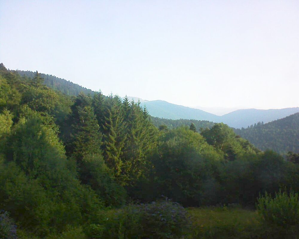 Le petit ballon vu depuis le Domaine Langmatt à Murbach le 17.08.2025 à 08:45 Le petit ballon (Alsace, Vosges) le 17.08.2025 à 08:45