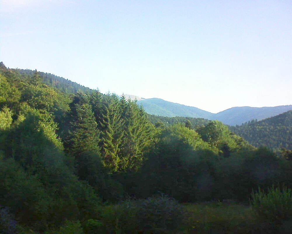 Le petit ballon vu depuis le Domaine Langmatt à Murbach le 19.08.2025 à 08:45 Le petit ballon (Alsace, Vosges) le 19.08.2025 à 08:45