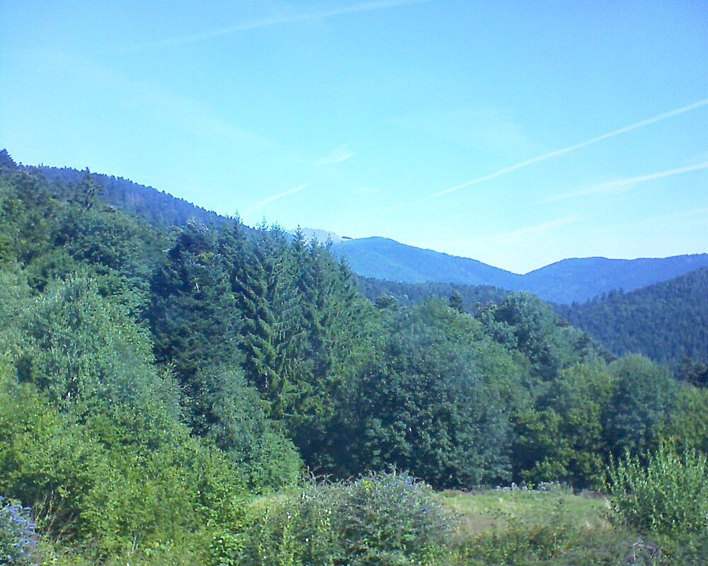 Le petit ballon (Alsace, Vosges) le 25.08.2025 à 11:15