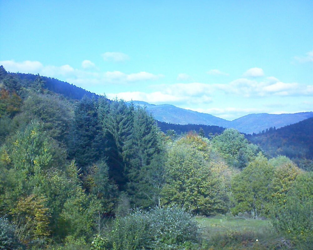 Le petit ballon (Alsace, Vosges) le 18.10.2025 à 14:00