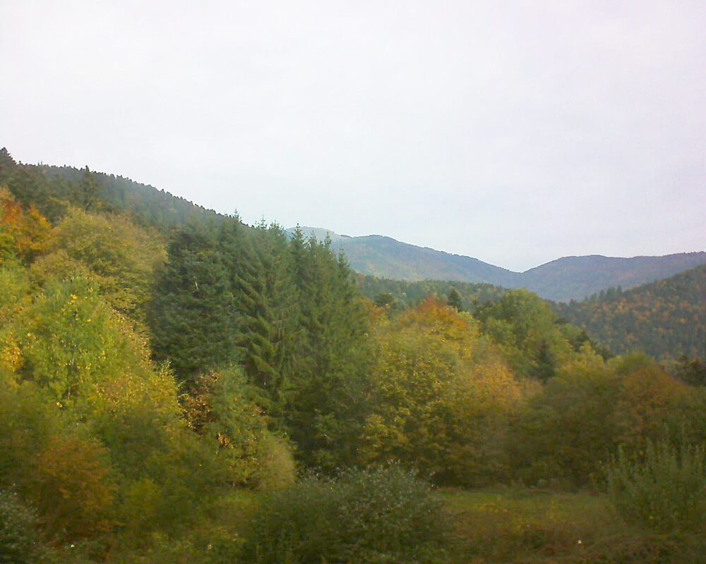 Le petit ballon vu depuis le Domaine Langmatt à Murbach le 19.10.2025 à 11:00 Le petit ballon (Alsace, Vosges) le 19.10.2025 à 11:00