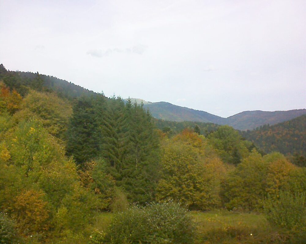 Le petit ballon vu depuis le Domaine Langmatt à Murbach le 19.10.2025 à 12:45 Le petit ballon (Alsace, Vosges) le 19.10.2025 à 12:45
