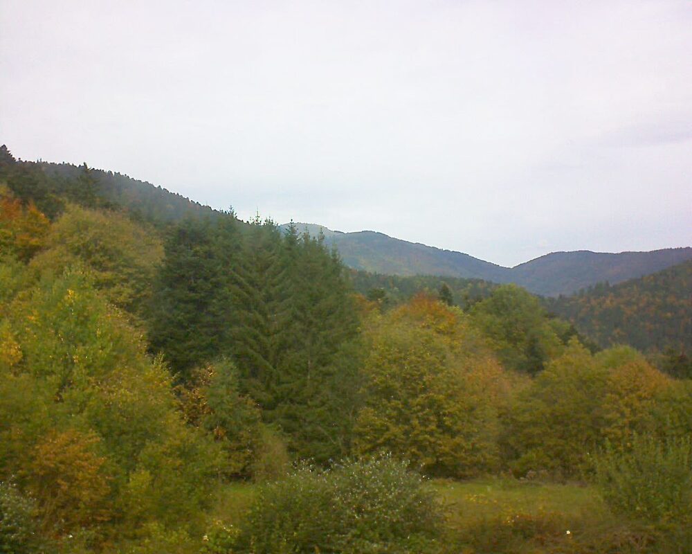 Le petit ballon (Alsace, Vosges) le 19.10.2025 à 13:00