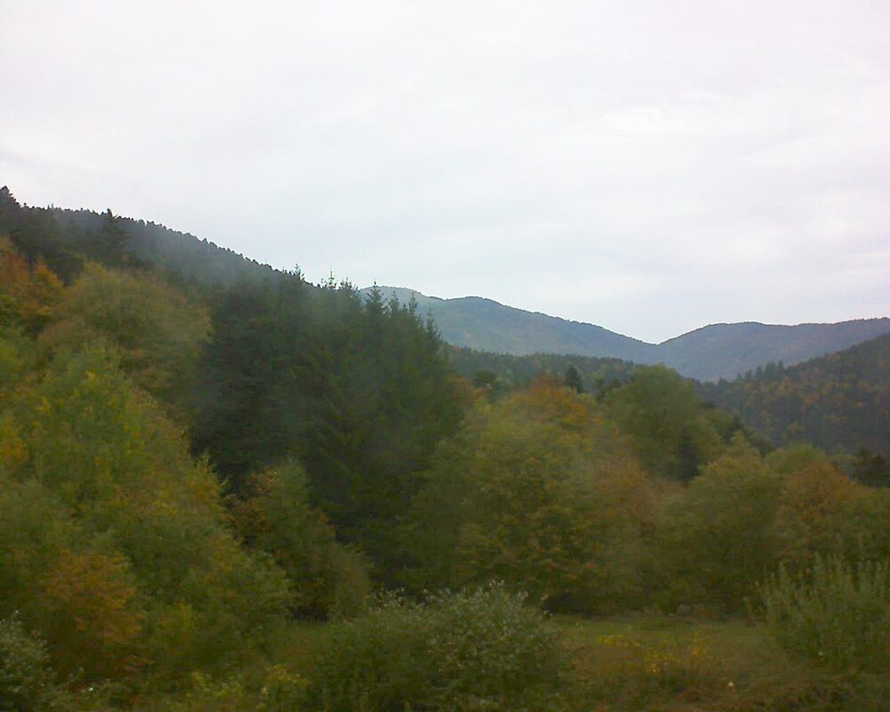 Le petit ballon (Alsace, Vosges) le 19.10.2025 à 14:00