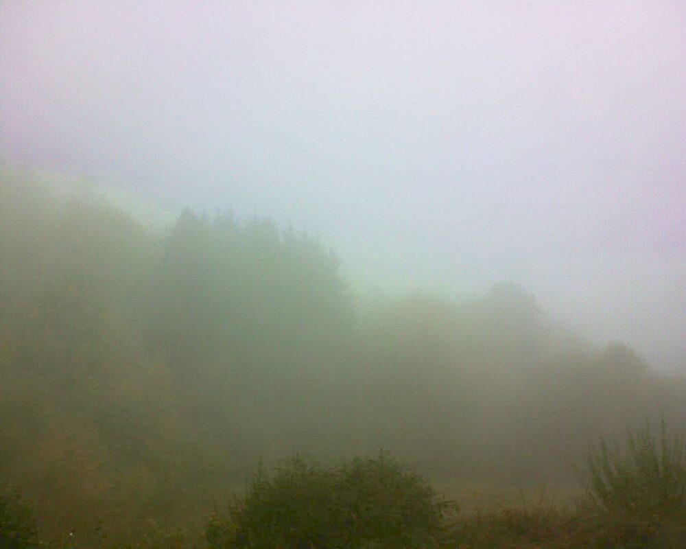 Le petit ballon (Alsace, Vosges) le 20.10.2025 à 12:45