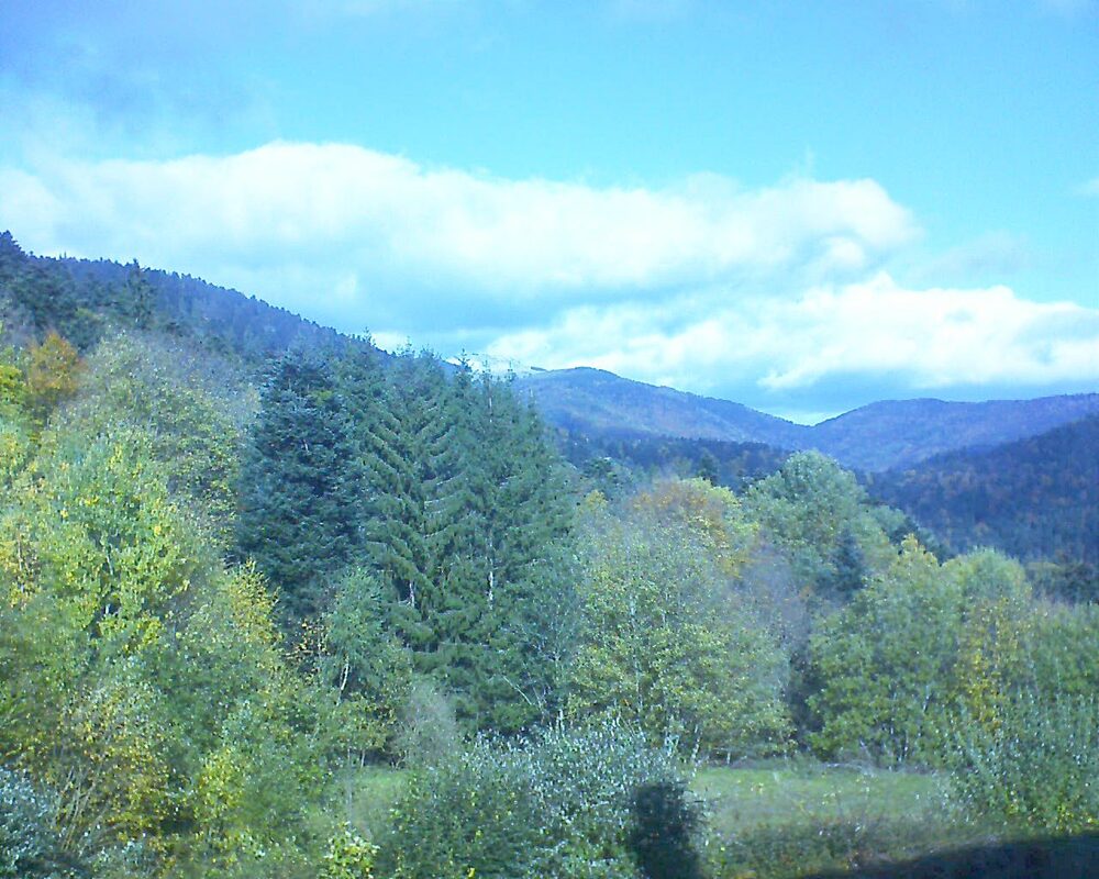 Le petit ballon vu depuis le Domaine Langmatt à Murbach le 24.10.2025 à 12:45 Le petit ballon (Alsace, Vosges) le 24.10.2025 à 12:45