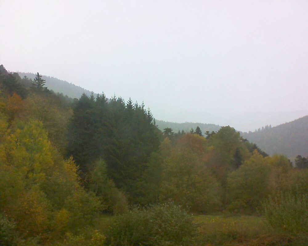 Le petit ballon (Alsace, Vosges) le 26.10.2025 à 12:45