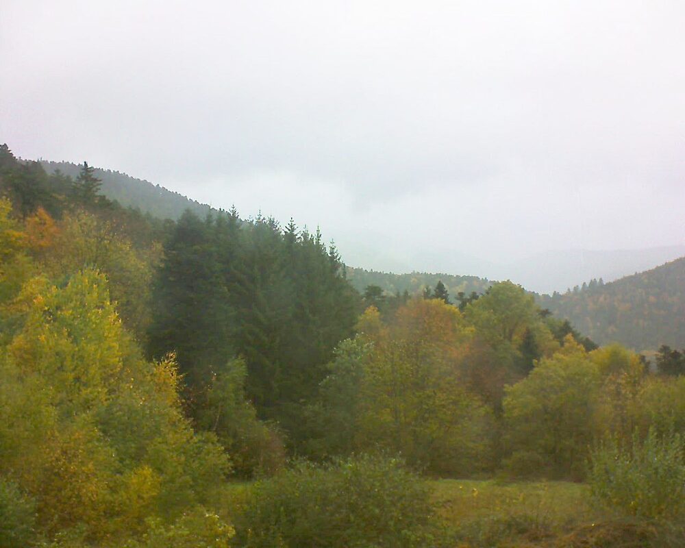 Le petit ballon vu depuis le Domaine Langmatt à Murbach le 27.10.2025 à 12:30 Le petit ballon (Alsace, Vosges) le 27.10.2025 à 12:30