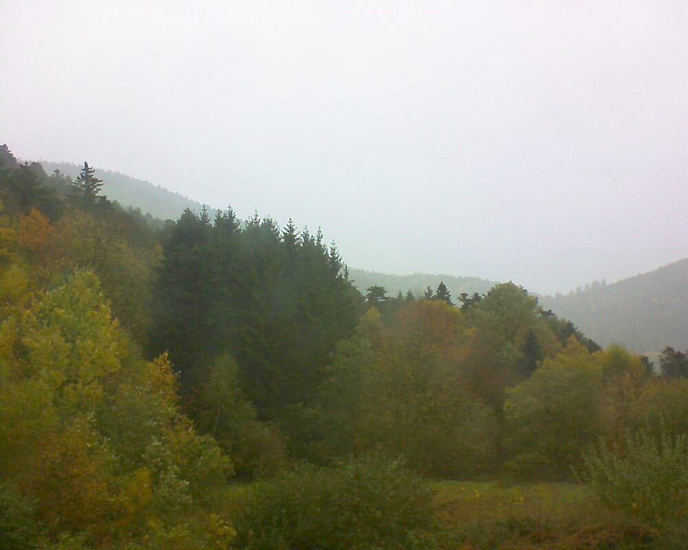 Le petit ballon (Alsace, Vosges) le 27.10.2025 à 12:45