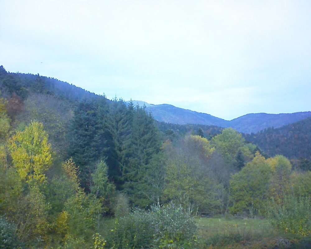 Le petit ballon (Alsace, Vosges) le 31.10.2025 à 12:45