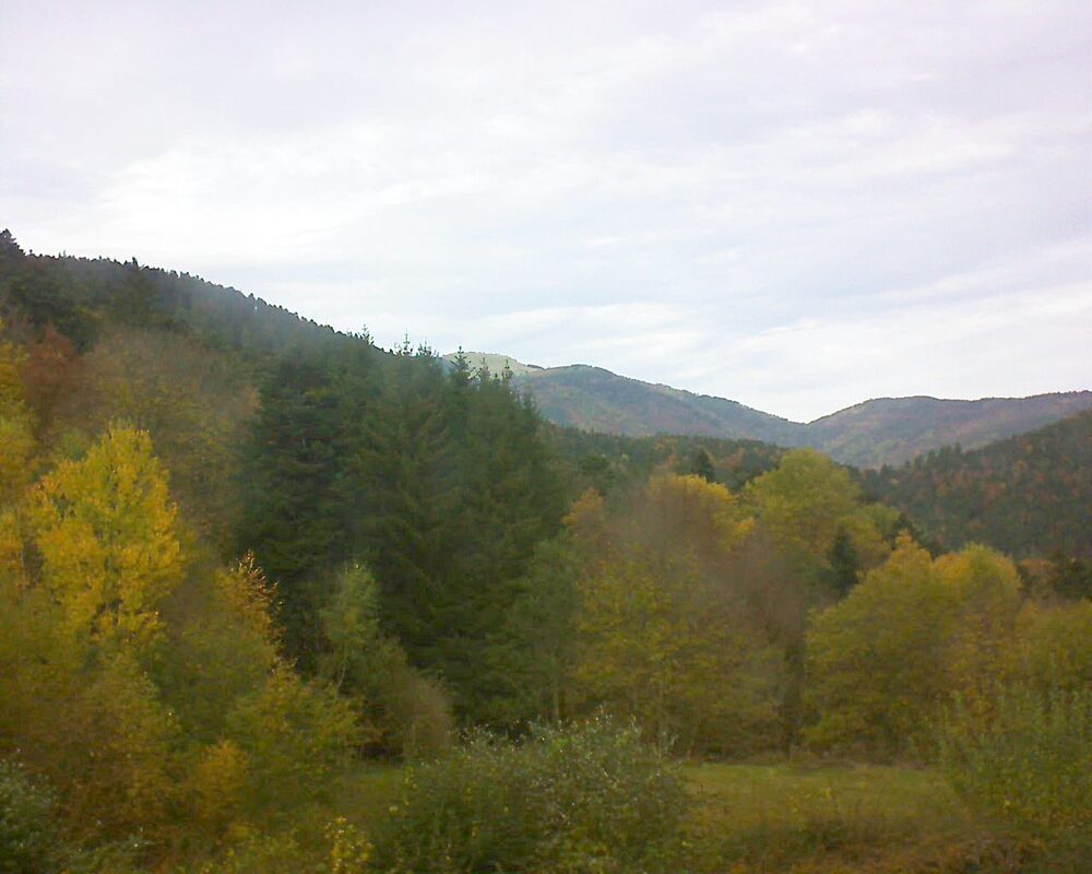 Le petit ballon (Alsace, Vosges) le 31.10.2025 à 13:45